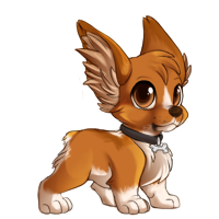 melo_pembrokewelshcorgi.png