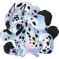 orimi_dalmatian.png