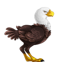 ostri_baldeagle.png