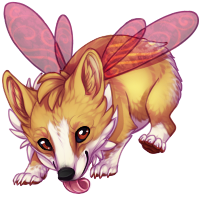 poofle_corgi.png