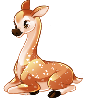 raffi_youngfawn.png