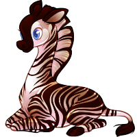 raffi_zebra.png