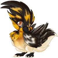 reve_blackburnianwarbler.png