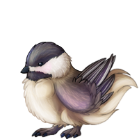 reve_chickadee.png