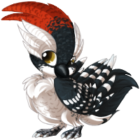 reve_downywoodpecker.png