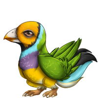 reve_gouldianfinch.png