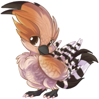 reve_hoopoe.png