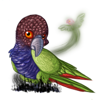 reve_imperialparrot.png