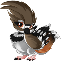 reve_killdeer.png