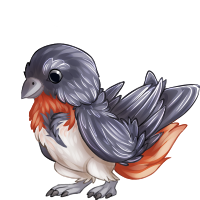 reve_mistletoebird.png