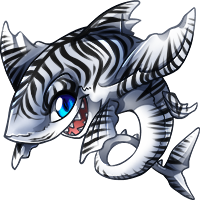 shantu_whitetigershark.png