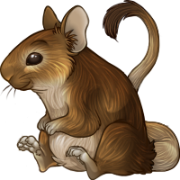 tavi_degu.png