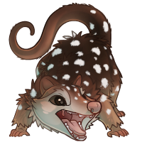 vircyon_quoll.png