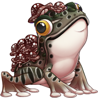 wibbit_leopardfrog.png