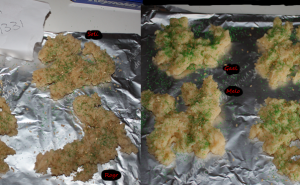 13311054.png&w=300&h=185&zc=1