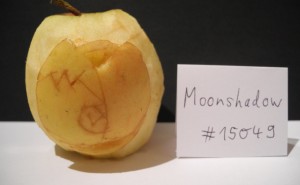 150492075.jpg&w=300&h=185&zc=1