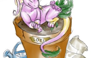 156951710.jpg&w=300&h=185&zc=1