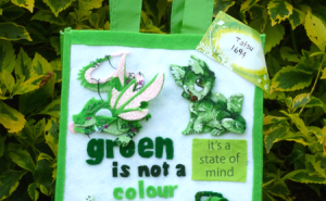 16941329.png&w=300&h=185&zc=1