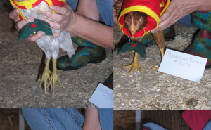 197741884.png&w=300&h=185&zc=1