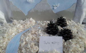 25421998.png&w=300&h=185&zc=1