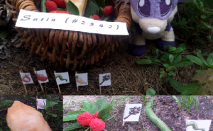 25422639.png&w=300&h=185&zc=1