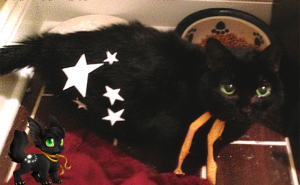 258371897.png&w=300&h=185&zc=1