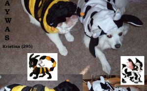 295972.jpg&w=300&h=185&zc=1