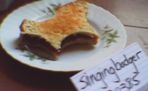 303851310.jpg&w=300&h=185&zc=1