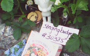 303851325.jpg&w=300&h=185&zc=1