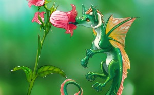 307091502.jpg&w=300&h=185&zc=1