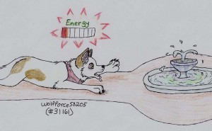 311613176.jpg&w=300&h=185&zc=1