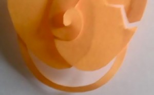 318081961.jpg&w=300&h=185&zc=1