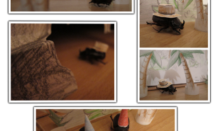 336681891.png&w=300&h=185&zc=1