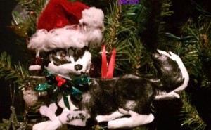 340561074.jpg&w=300&h=185&zc=1