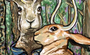 371311740.jpg&w=300&h=185&zc=1