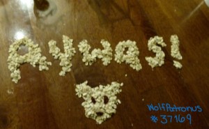 371691687.jpg&w=300&h=185&zc=1