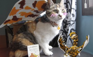 423801896.jpg&w=300&h=185&zc=1