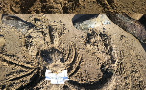 469751990.png&w=300&h=185&zc=1