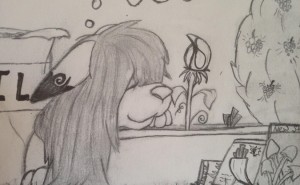 539052636.jpg&w=300&h=185&zc=1