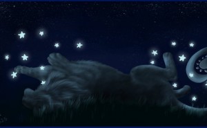 55251364.jpg&w=300&h=185&zc=1