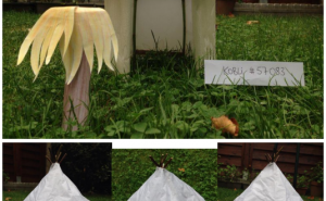 570832703.png&w=300&h=185&zc=1