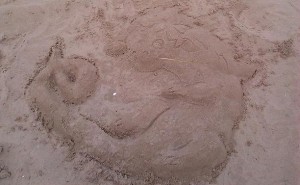 70871979.jpg&w=300&h=185&zc=1