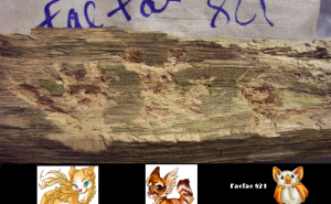 821996.png&w=300&h=185&zc=1